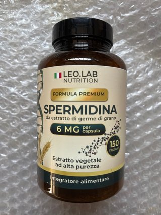 Spermidina
