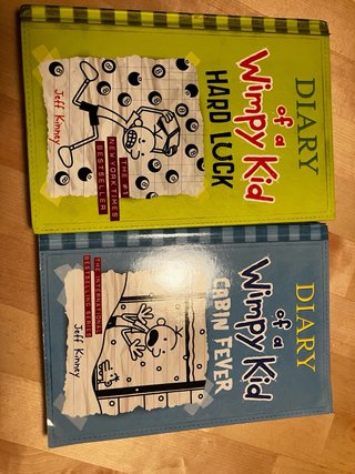 Lote de libros infantiles y juveniles. EU/EN/FR.
