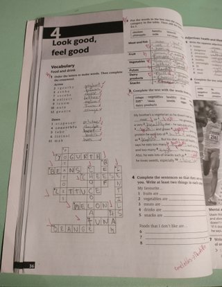 Succeed in English 1. Workbook