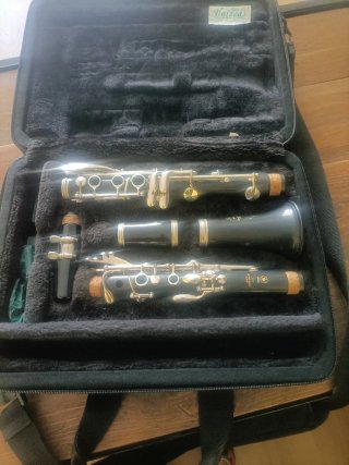 Clarinete Yamaha 255