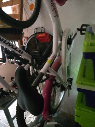 Bicicleta infantil niña