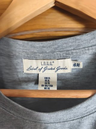 Camiseta NASA Gris