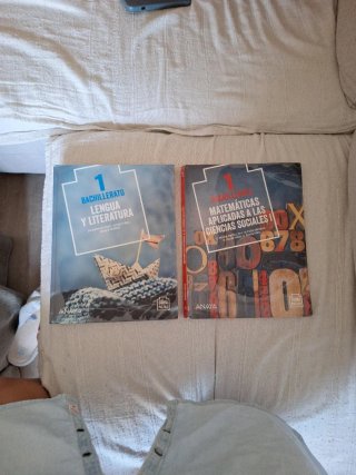 Lengua y literatura 1 Bachillerato Mates aplicadas