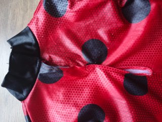 Disfraz Ladybug Talla 7-8 años