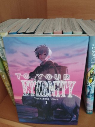 To your eternity colección 1-15 perfecto estado