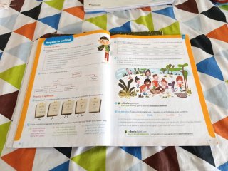 Libro de Lengua 4° primaria SM