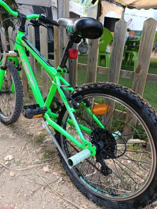 Bicicleta WST 20 Verde
