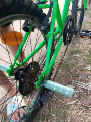 Bicicleta WST 20 Verde