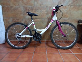 Bicicleta junior Denbike de 24"
