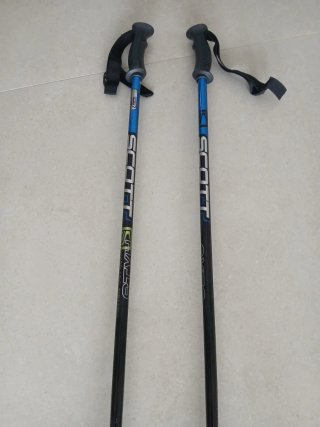 Bastones de esquí Scott 110 cm
