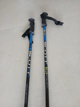 Bastones de esquí Scott 110 cm