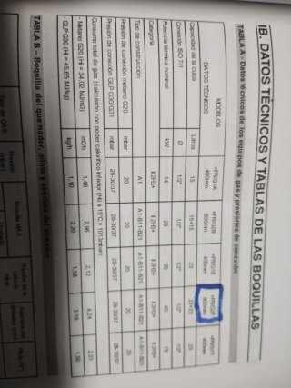 Freidora Gas 2 Cestas