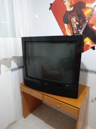 Televisión Loewe Retro Alta Gama