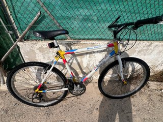 Bicicleta Clásica Montaña