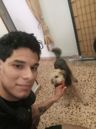 PASEO DE PERROS (BURJASSOT-PATERNA)