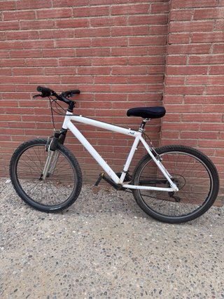 Bicicleta Blanca Montaña