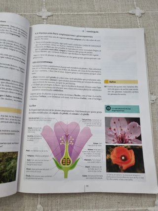Biología i Geología 1 ESO LOMLOE