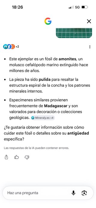 Fósil de Ammonites con detalles especiales