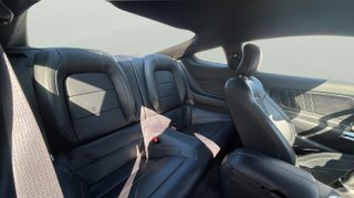 Ford Mustang 2.3 EcoBoost Mustang (Fastback) 231 kW (314 CV)