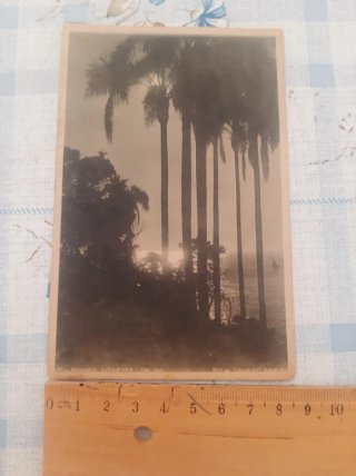 Lote 7 Postales Antiguas Brasil