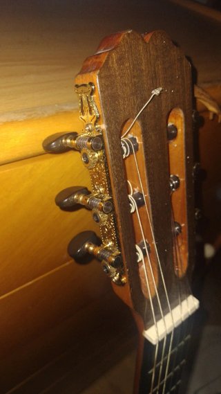 Guitarra Admira Sara
