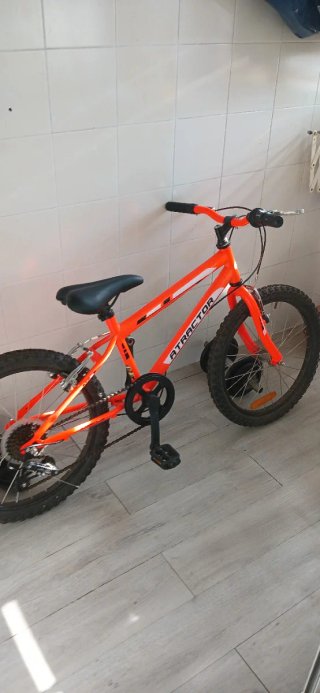 Bicicleta Infantil 20"