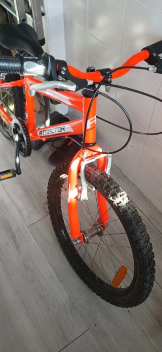Bicicleta Infantil 20"