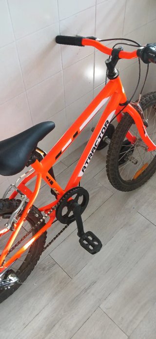 Bicicleta Infantil 20"