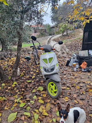 Piaggio Zip 50 Scooter Blanca y Gris