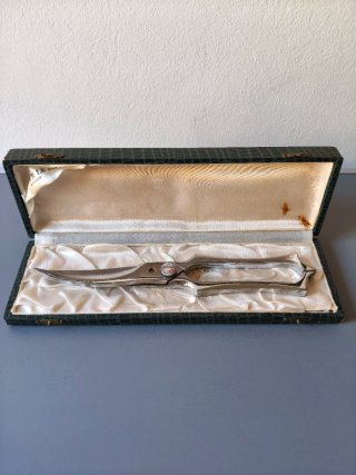 Forbici antiche francesi per uccelli