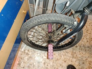 Bmx BH Shark