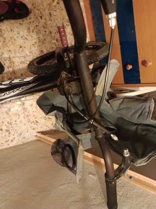 Bmx BH Shark
