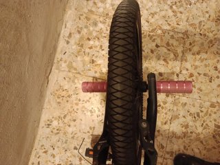 Bmx BH Shark