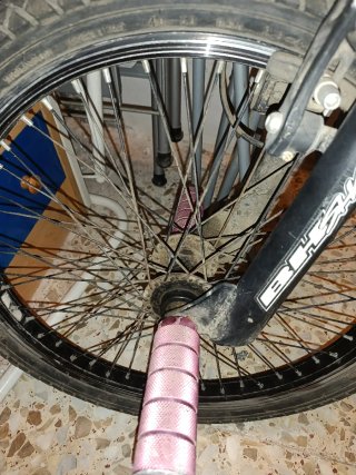 Bmx BH Shark