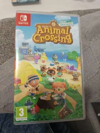 Animal Crossing Minecraft Zelda kings Pikmin 4