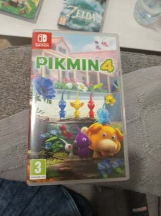 Animal Crossing Minecraft Zelda kings Pikmin 4