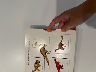 Els dinosaures