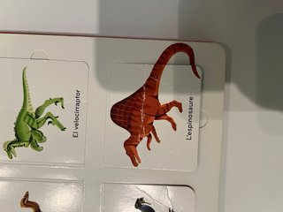 Els dinosaures