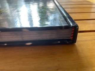 Ravenloft libro de reglas básico. D&D