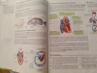 Biología, Geología y Ciencias Ambientales 1o Ba...