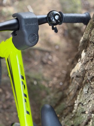 Bicicleta de equilibrio Giant Pre