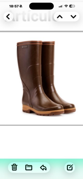 Botas de agua Aigle marrones