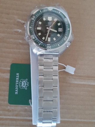 STEELDIVE Reloj Automático Verde