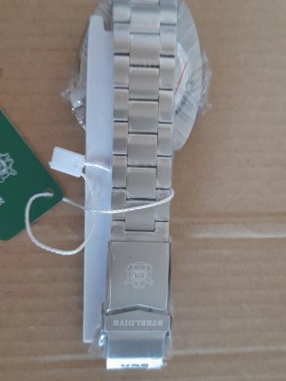 STEELDIVE Reloj Automático Verde