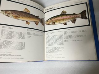 Libro :cucinare i pesci -edizione fabbri