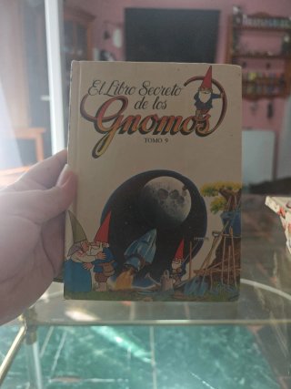 El libro secreto de los gnomos.