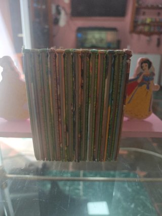 El libro secreto de los gnomos.