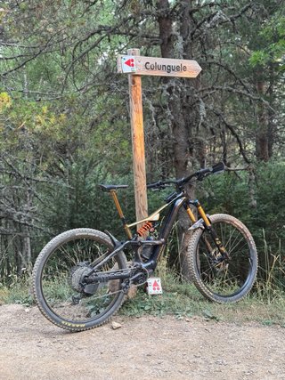 Orbea Rise LT 2026 talla M