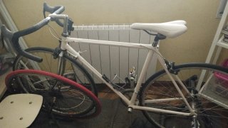 Bicicleta Zeus Talla 50-51 con rodillo.