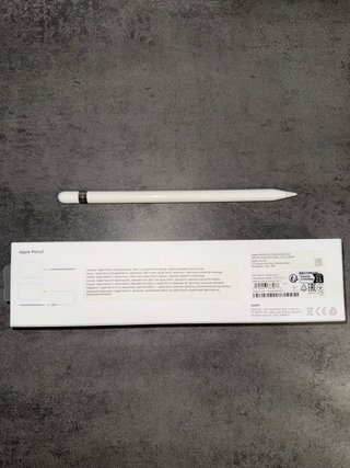 iPad 9ª Gen 10.2 + Apple Pencil 1ª Gen